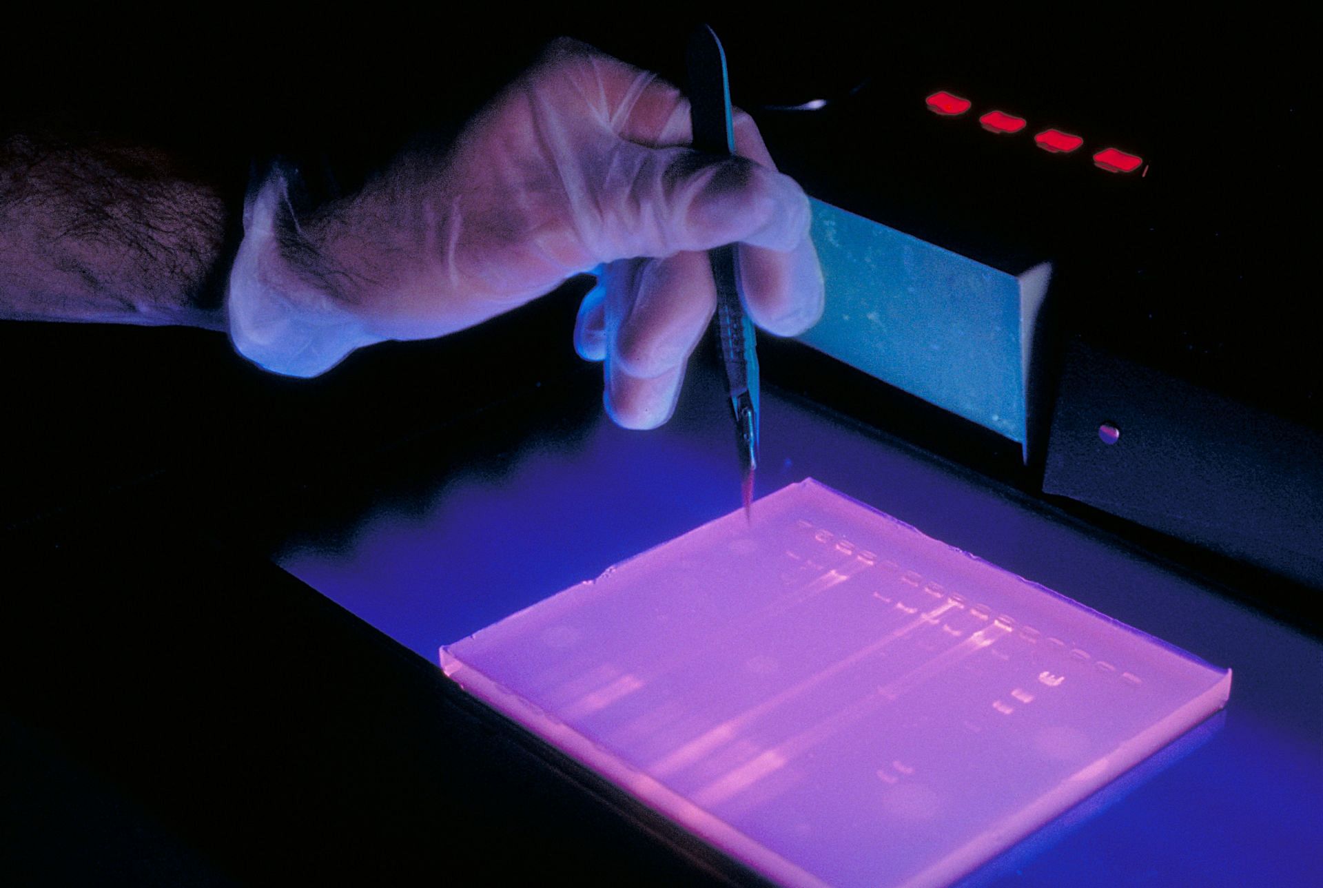 Taylor Lee Olson's DNA matched the blood from the crime scene (Image via Getty)